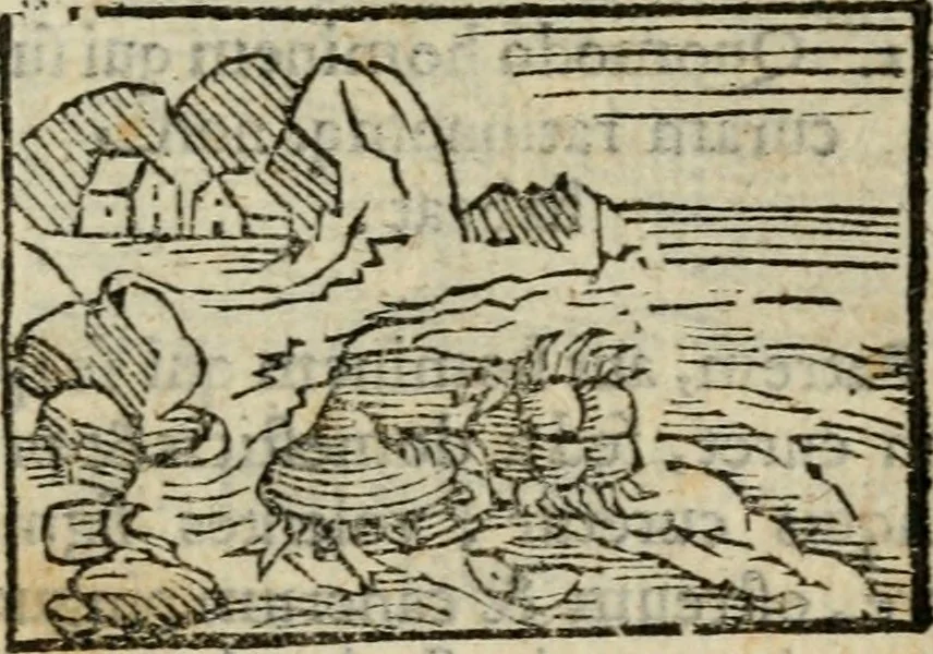 An illustration from Horou Apollonos Neiloou Hieroglyphika eklekta = Hori Apollinis Selecta hieroglyphica : imagines vero cum priuilegio, 1599, leaf 244