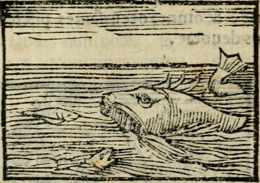 An illustration from Horou Apollonos Neiloou Hieroglyphika eklekta = Hori Apollinis Selecta hieroglyphica : imagines vero cum priuilegio, 1599, leaf 246