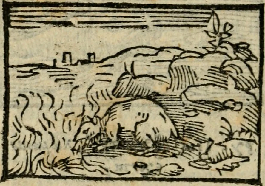 An illustration from Horou Apollonos Neiloou Hieroglyphika eklekta = Hori Apollinis Selecta hieroglyphica : imagines vero cum priuilegio, 1599, leaf 247