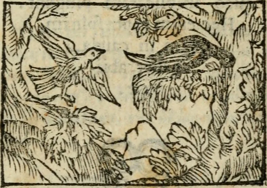 An illustration from Horou Apollonos Neiloou Hieroglyphika eklekta = Hori Apollinis Selecta hieroglyphica : imagines vero cum priuilegio, 1599, leaf 248