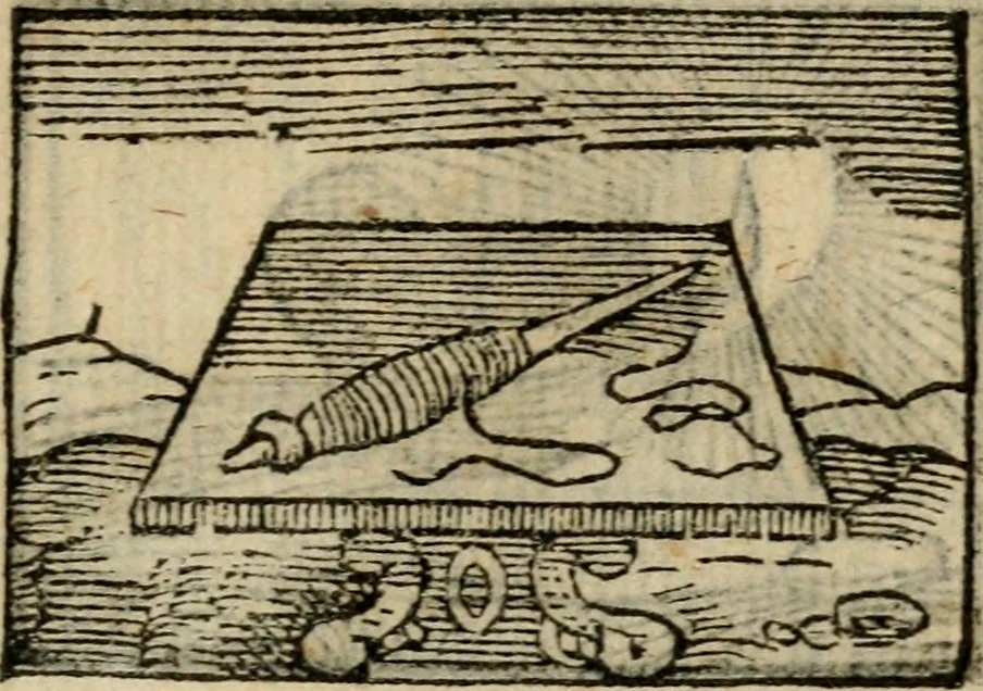 An illustration from Horou Apollonos Neiloou Hieroglyphika eklekta = Hori Apollinis Selecta hieroglyphica : imagines vero cum priuilegio, 1599, leaf 260