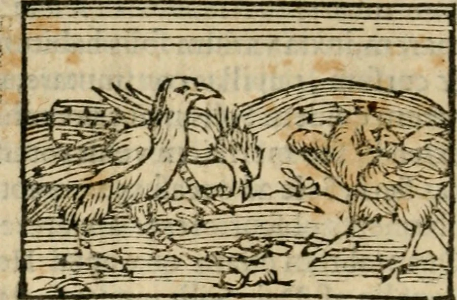 An illustration from Horou Apollonos Neiloou Hieroglyphika eklekta = Hori Apollinis Selecta hieroglyphica : imagines vero cum priuilegio, 1599, leaf 29