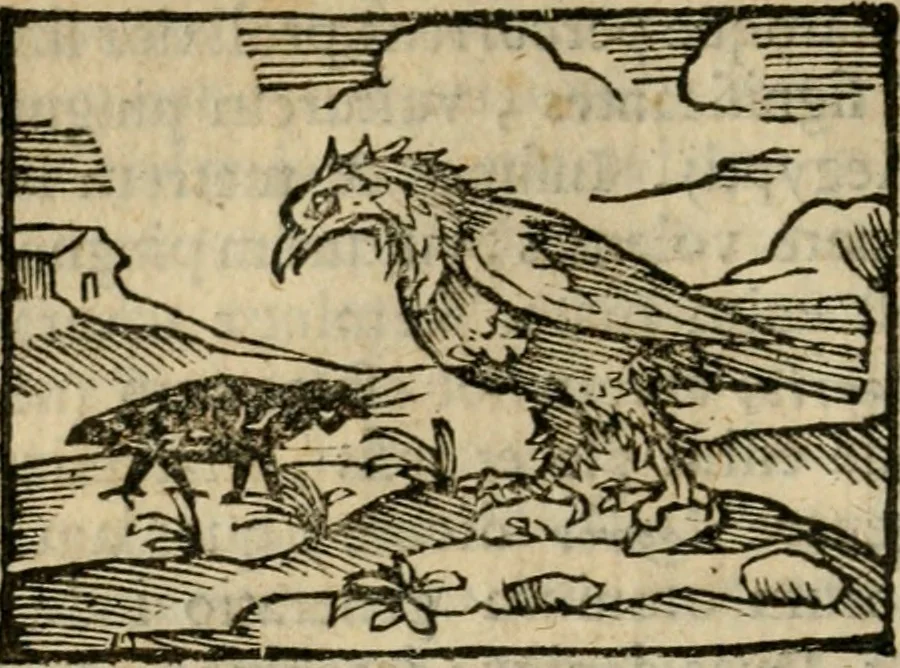 An illustration from Horou Apollonos Neiloou Hieroglyphika eklekta = Hori Apollinis Selecta hieroglyphica : imagines vero cum priuilegio, 1599, leaf 37