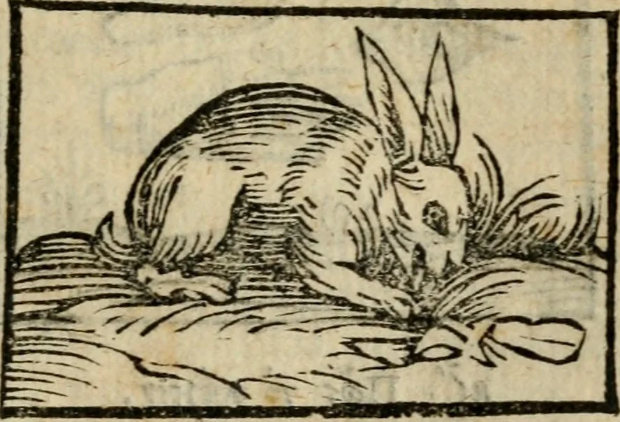 An illustration from Horou Apollonos Neiloou Hieroglyphika eklekta = Hori Apollinis Selecta hieroglyphica : imagines vero cum priuilegio, 1599, leaf 64