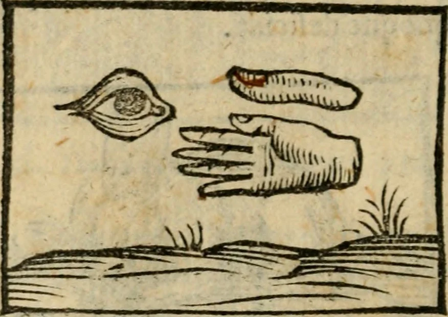 An illustration from Horou Apollonos Neiloou Hieroglyphika eklekta = Hori Apollinis Selecta hieroglyphica : imagines vero cum priuilegio, 1599, leaf 65