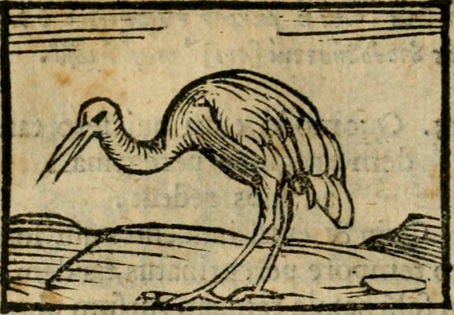 An illustration from Horou Apollonos Neiloou Hieroglyphika eklekta = Hori Apollinis Selecta hieroglyphica : imagines vero cum priuilegio, 1599, leaf 75