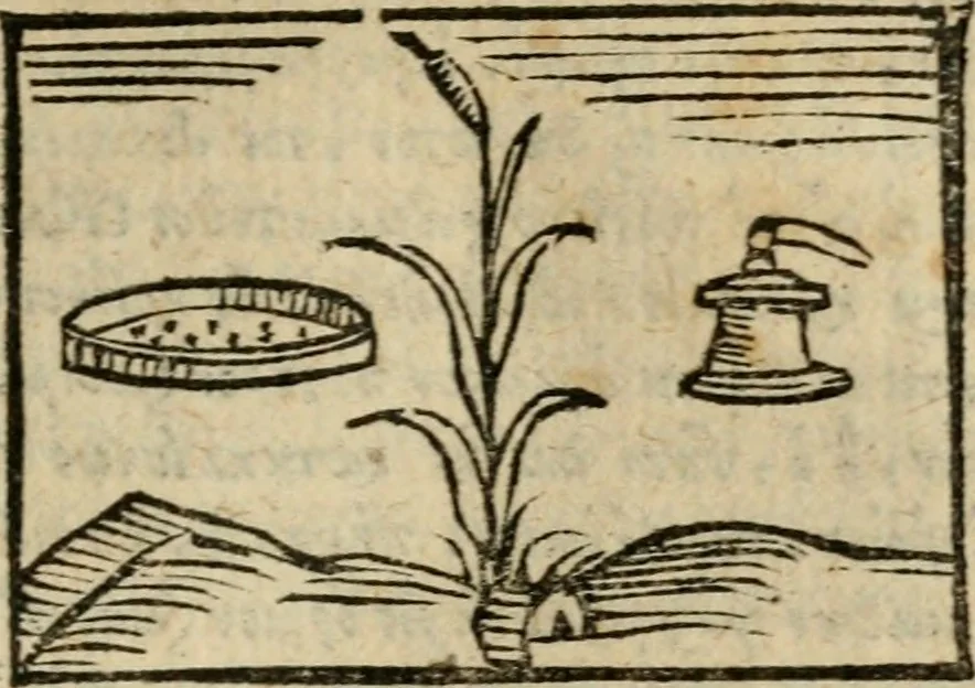 An illustration from Horou Apollonos Neiloou Hieroglyphika eklekta = Hori Apollinis Selecta hieroglyphica : imagines vero cum priuilegio, 1599, leaf 78
