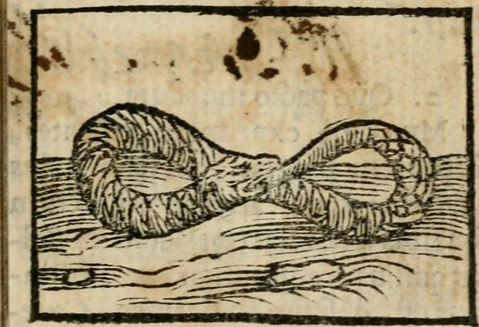 An illustration from Horou Apollonos Neiloou Hieroglyphika eklekta = Hori Apollinis Selecta hieroglyphica : imagines vero cum priuilegio, 1599, leaf 8