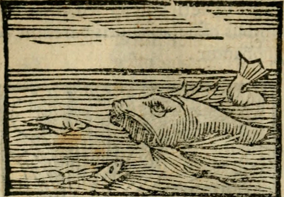An illustration from Horou Apollonos Neiloou Hieroglyphika eklekta = Hori Apollinis Selecta hieroglyphica : imagines vero cum priuilegio, 1599, leaf 89