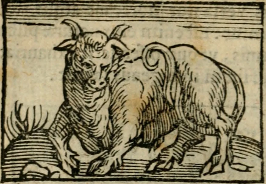 An illustration from Horou Apollonos Neiloou Hieroglyphika eklekta = Hori Apollinis Selecta hieroglyphica : imagines vero cum priuilegio, 1599, leaf 91