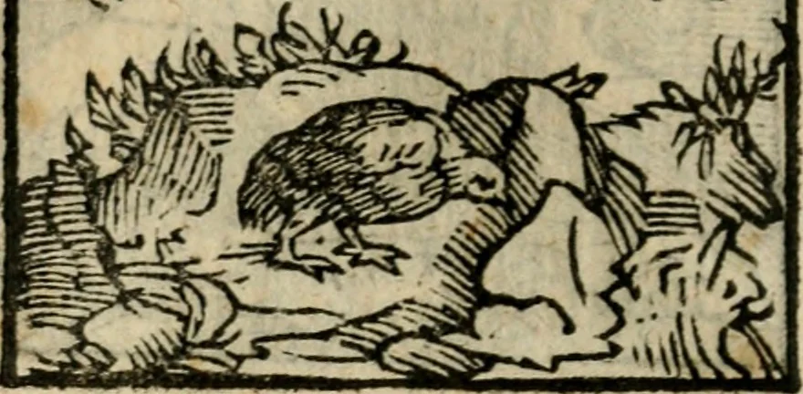 An illustration from Horou Apollonos Neiloou Hieroglyphika eklekta = Hori Apollinis Selecta hieroglyphica : imagines vero cum priuilegio, 1599, leaf 93