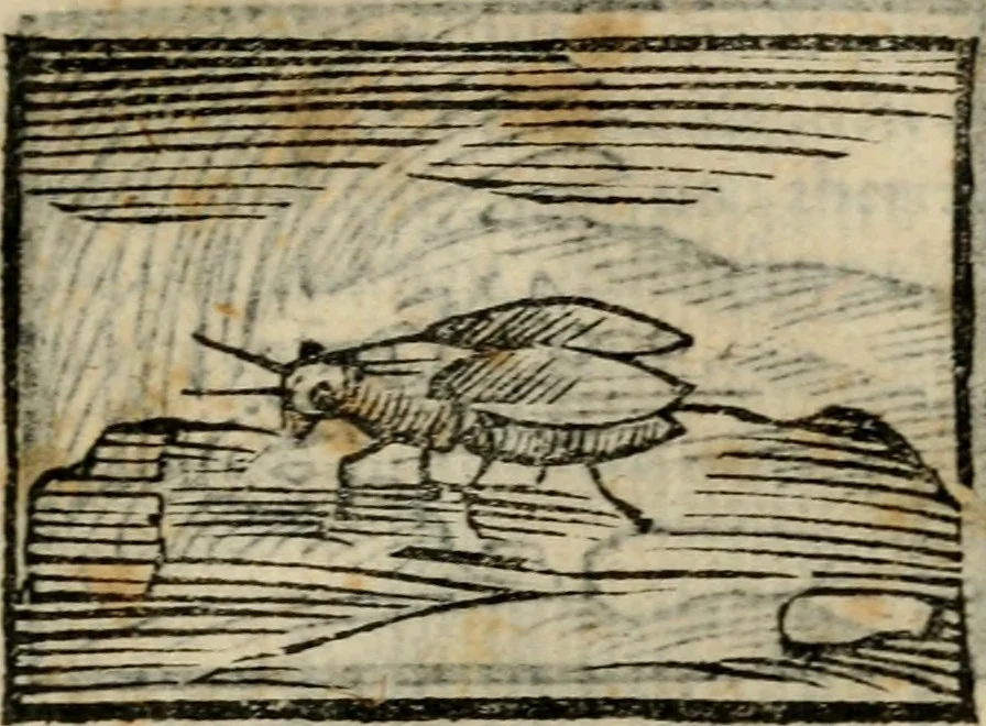 An illustration from Horou Apollonos Neiloou Hieroglyphika eklekta = Hori Apollinis Selecta hieroglyphica : imagines vero cum priuilegio, 1599, leaf 98