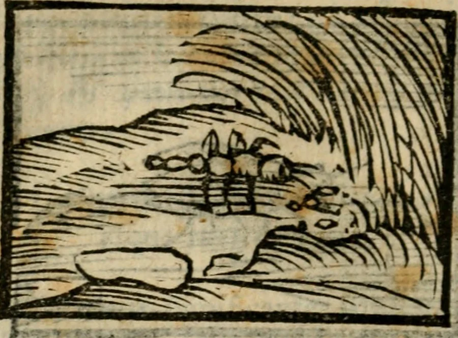 An illustration from Horou Apollonos Neiloou Hieroglyphika eklekta = Hori Apollinis Selecta hieroglyphica : imagines vero cum priuilegio, 1599, leaf 99
