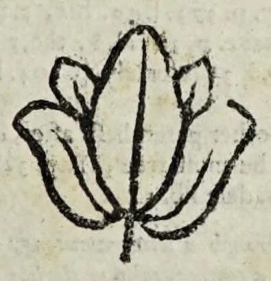 An illustration from Apologeticall relation of the particular sufferings of the faithfull ministers & professours of the Church of Scotland since August, 1660 : wherein se, 1665, leaf 37
