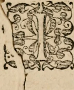 An illustration from Apologia chymico-medica practica Johan. Oberndorfferi ... adversus illiberales Martini Rulandi ... calumnias, 1610, leaf 6