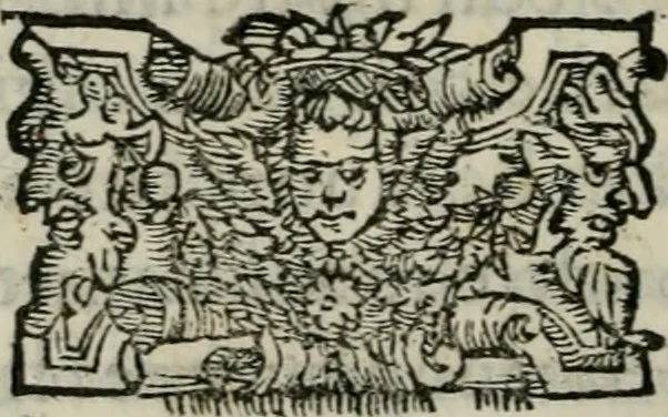 An illustration from Apologia de gli Academici di Banchi di Roma : Contra M. Lodovico Castelvetro da Modena. Informa d'uno Spaccio di Maestro Pasquino. Con alcune operette, del predella, del bvratto, di ser pedocco. In difesa de la seguente Canzone del Commendatore, 1558, leaf 223