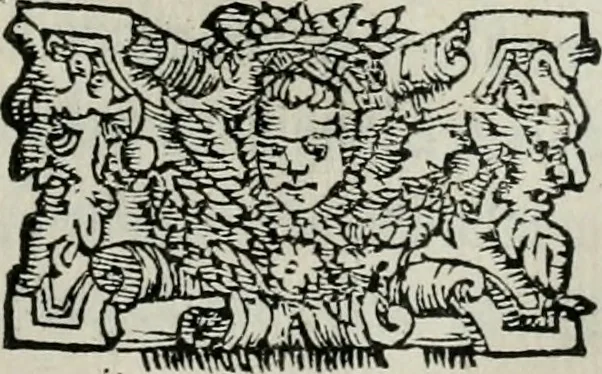 An illustration from Apologia de gli Academici di Banchi di Roma : Contra M. Lodovico Castelvetro da Modena. Informa d'uno Spaccio di Maestro Pasquino. Con alcune operette, del predella, del bvratto, di ser pedocco. In difesa de la seguente Canzone del Commendatore, 1558, leaf 24