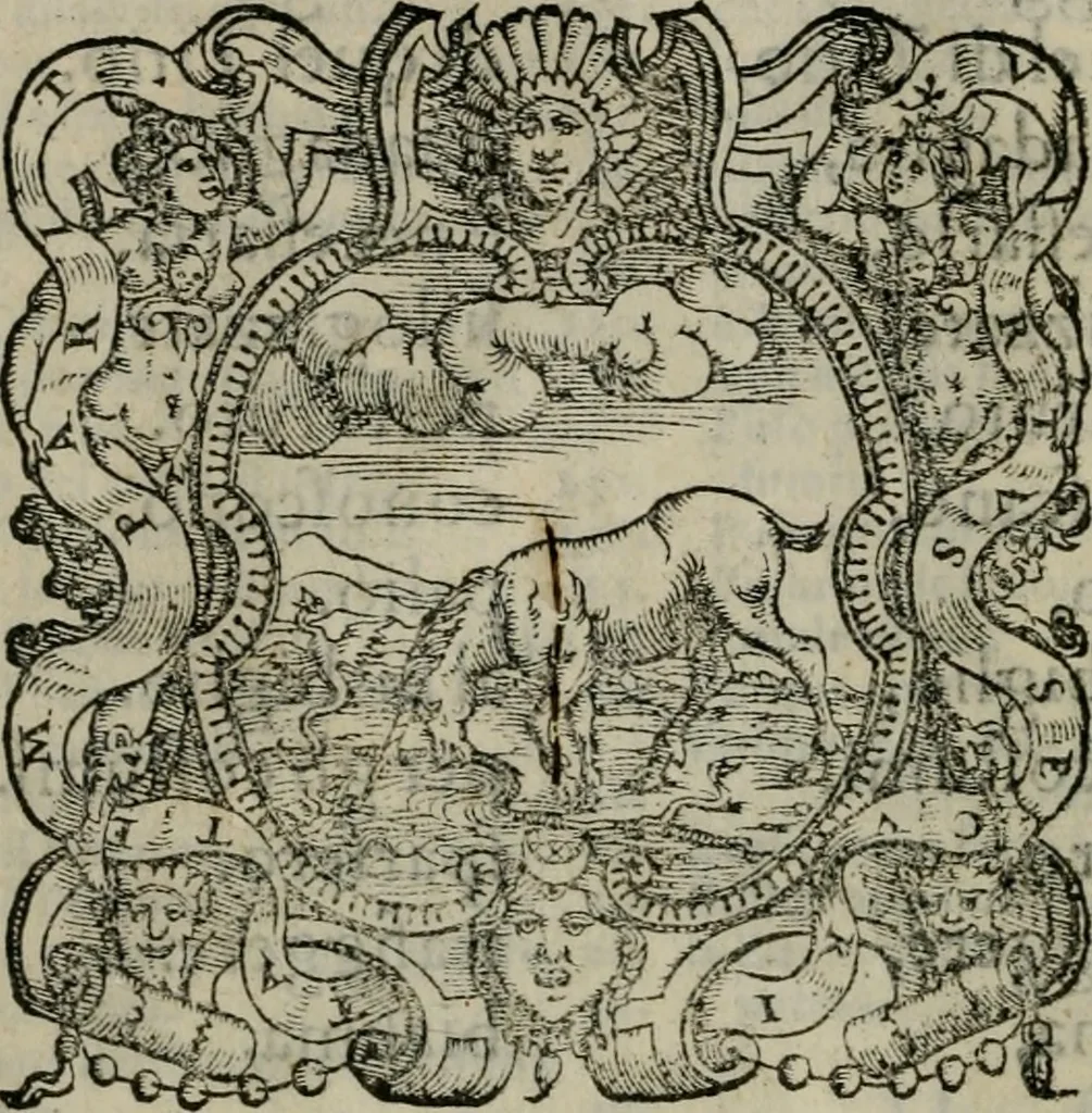 An illustration from Apologia de gli Academici di Banchi di Roma : Contra M. Lodovico Castelvetro da Modena. Informa d'uno Spaccio di Maestro Pasquino. Con alcune operette, del predella, del bvratto, di ser pedocco. In difesa de la seguente Canzone del Commendatore, 1558, leaf 287