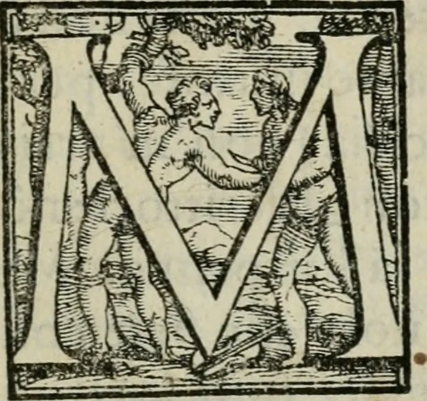 An illustration from Apologia de gli Academici di Banchi di Roma : Contra M. Lodovico Castelvetro da Modena. Informa d'uno Spaccio di Maestro Pasquino. Con alcune operette, del predella, del bvratto, di ser pedocco. In difesa de la seguente Canzone del Commendatore, 1558, leaf 6