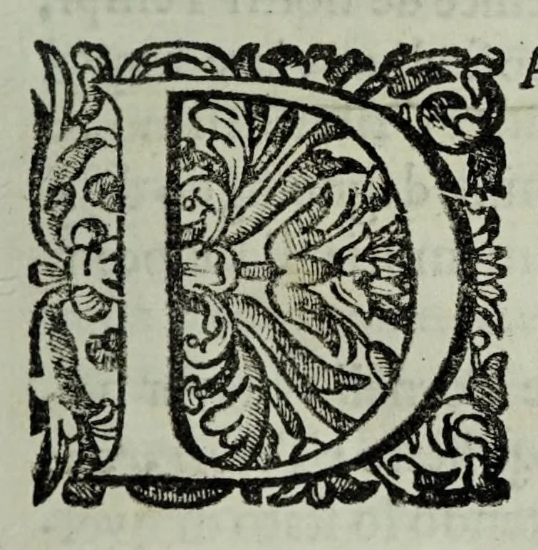 An illustration from Apologia di Francesco Maria Onorati per la passonata fatta sopra il Tevere fvora di Porta del Popolo in difesa della Strada Flaminia : con la direttione del signor Cornelio Meyer, famoso ingegniere olandese, 1698, leaf 17