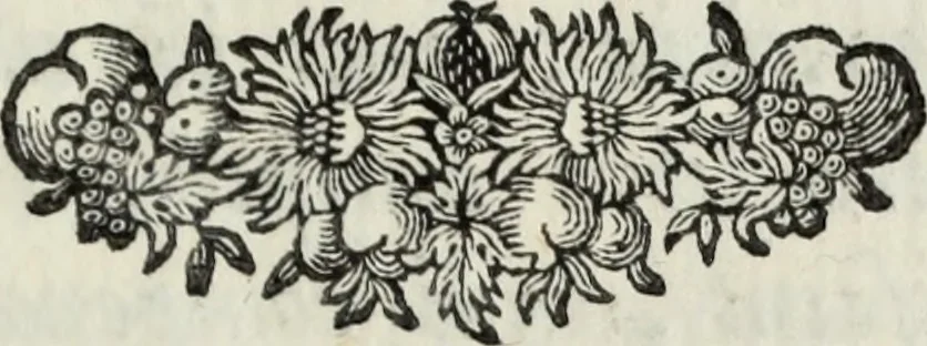 An illustration from Apologia in difesa del Cavaliere Conte Sertorio Orsato contra le censure dell'autore del Museo Veronese, 1752, leaf 114