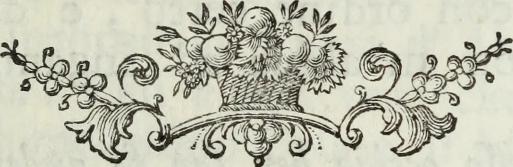 An illustration from Apologia in difesa del Cavaliere Conte Sertorio Orsato contra le censure dell'autore del Museo Veronese, 1752, leaf 50