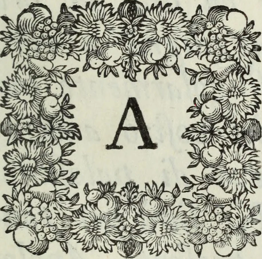 An illustration from Apologia in difesa del Cavaliere Conte Sertorio Orsato contra le censure dell'autore del Museo Veronese, 1752, leaf 8