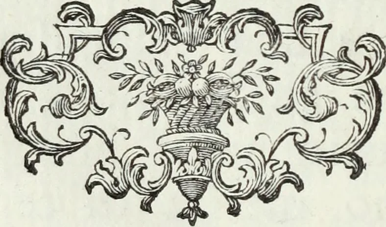 An illustration from Apologia in difesa del Cavaliere Conte Sertorio Orsato contra le censure dell'autore del Museo Veronese, 1752, leaf 83