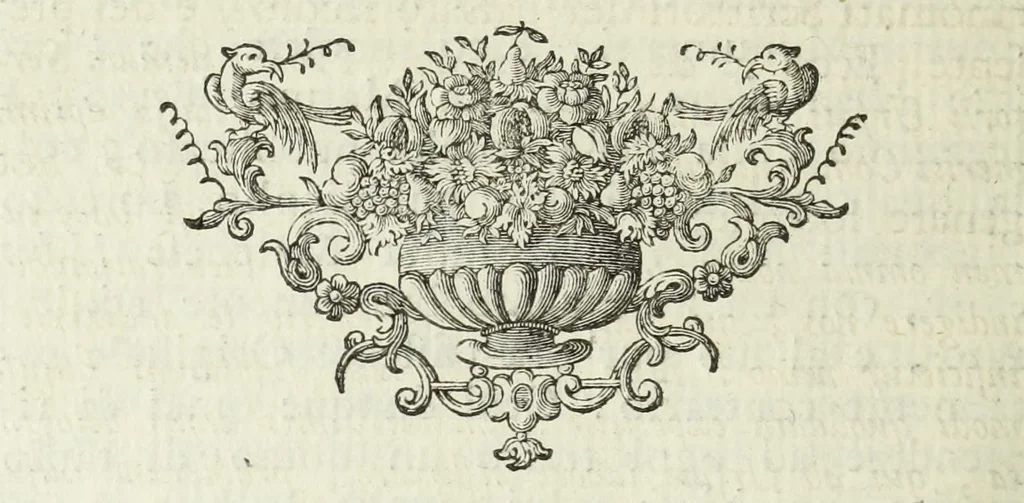 An illustration from Apologia in difesa del Cavaliere conte Sertorio Orsato contra le censure dell' autore del Museo veronese, 1752, leaf 117