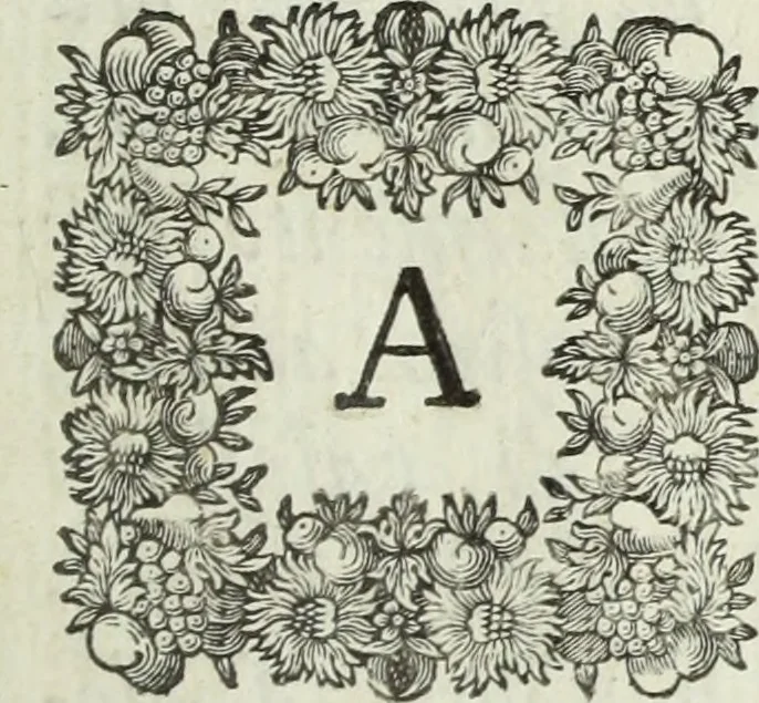 An illustration from Apologia in difesa del Cavaliere conte Sertorio Orsato contra le censure dell' autore del Museo veronese, 1752, leaf 12