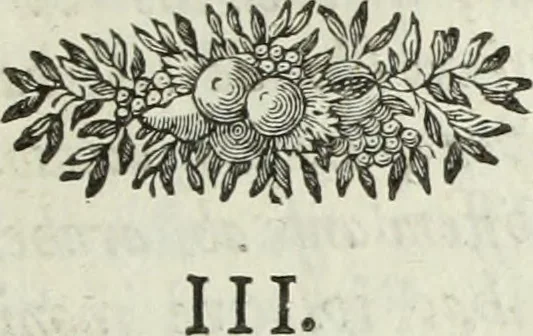 An illustration from Apologia in difesa del Cavaliere conte Sertorio Orsato contra le censure dell' autore del Museo veronese, 1752, leaf 78