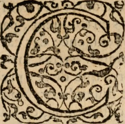 An illustration from Apologia libri de reditibvs ecclesiasticis, a Martino ab Azpilcueta. Super c. ultimo XVI. q. I. sermone primùm Hispano compositi, & ab eodem postea Latinitate donati: aduersus N. in nonnullis ei contradicentem, 1575, leaf 10