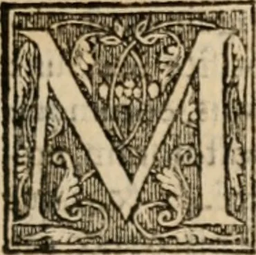 An illustration from Apologia libri de reditibvs ecclesiasticis, a Martino ab Azpilcueta. Super c. ultimo XVI. q. I. sermone primùm Hispano compositi, & ab eodem postea Latinitate donati: aduersus N. in nonnullis ei contradicentem, 1575, leaf 176