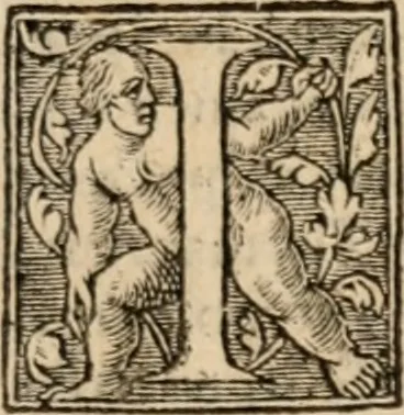 An illustration from Apologia libri de reditibvs ecclesiasticis, a Martino ab Azpilcueta. Super c. ultimo XVI. q. I. sermone primùm Hispano compositi, & ab eodem postea Latinitate donati: aduersus N. in nonnullis ei contradicentem, 1575, leaf 20