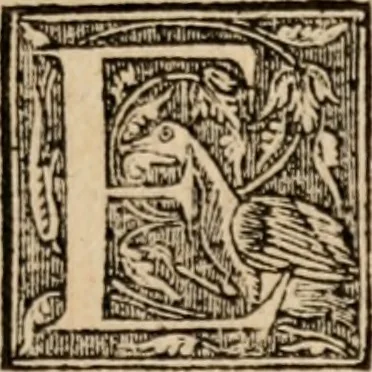 An illustration from Apologia libri de reditibvs ecclesiasticis, a Martino ab Azpilcueta. Super c. ultimo XVI. q. I. sermone primùm Hispano compositi, & ab eodem postea Latinitate donati: aduersus N. in nonnullis ei contradicentem, 1575, leaf 202