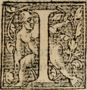 An illustration from Apologia libri de reditibvs ecclesiasticis, a Martino ab Azpilcueta. Super c. ultimo XVI. q. I. sermone primùm Hispano compositi, & ab eodem postea Latinitate donati: aduersus N. in nonnullis ei contradicentem, 1575, leaf 208