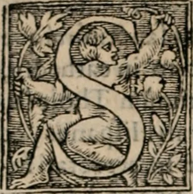 An illustration from Apologia libri de reditibvs ecclesiasticis, a Martino ab Azpilcueta. Super c. ultimo XVI. q. I. sermone primùm Hispano compositi, & ab eodem postea Latinitate donati: aduersus N. in nonnullis ei contradicentem, 1575, leaf 23