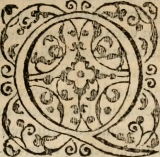 An illustration from Apologia libri de reditibvs ecclesiasticis, a Martino ab Azpilcueta. Super c. ultimo XVI. q. I. sermone primùm Hispano compositi, & ab eodem postea Latinitate donati: aduersus N. in nonnullis ei contradicentem, 1575, leaf 244