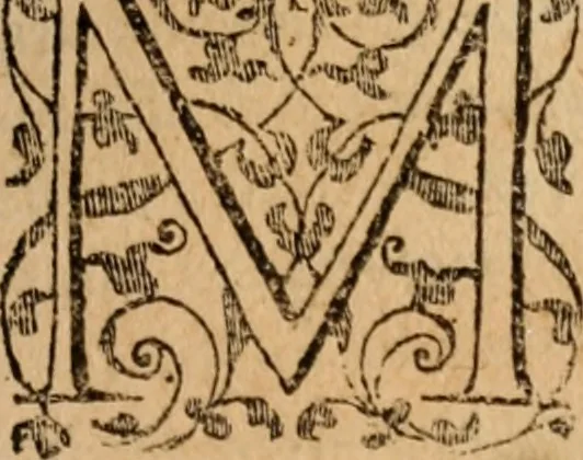An illustration from Apologia libri de reditibvs ecclesiasticis, a Martino ab Azpilcueta. Super c. ultimo XVI. q. I. sermone primùm Hispano compositi, & ab eodem postea Latinitate donati: aduersus N. in nonnullis ei contradicentem, 1575, leaf 6