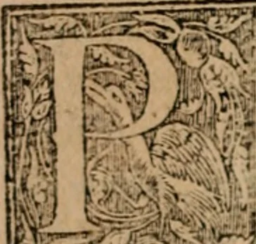 An illustration from Apologia libri de reditibvs ecclesiasticis, a Martino ab Azpilcueta. Super c. ultimo XVI. q. I. sermone primùm Hispano compositi, & ab eodem postea Latinitate donati: aduersus N. in nonnullis ei contradicentem, 1575, leaf 9