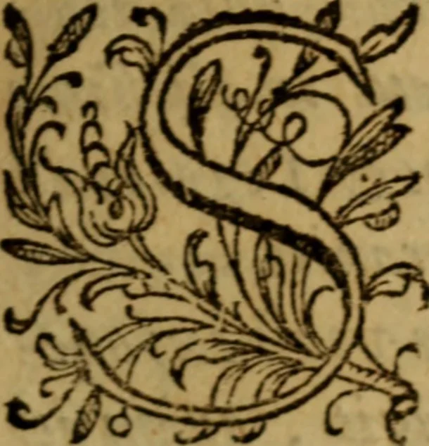 An illustration from Apologia pro ivramento fidelitatis, primùm quidem anonymoz:, 1609, leaf 11