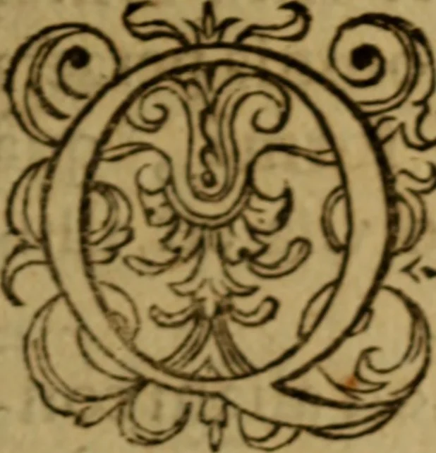 An illustration from Apologia pro ivramento fidelitatis, primùm quidem anonymoz:, 1609, leaf 137