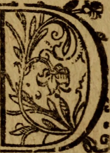 An illustration from Apologia pro ivramento fidelitatis, primùm quidem anonymoz:, 1609, leaf 144