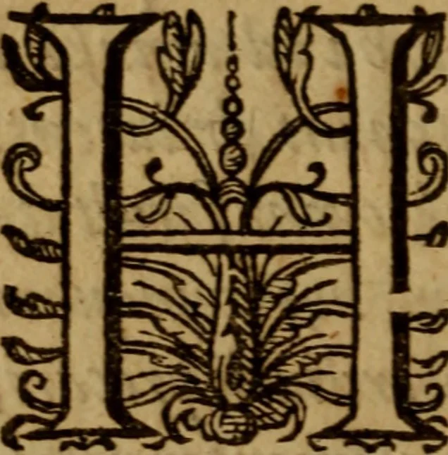 An illustration from Apologia pro ivramento fidelitatis, primùm quidem anonymoz:, 1609, leaf 150