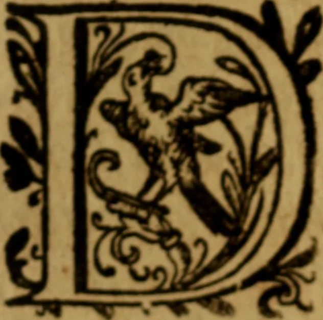 An illustration from Apologia pro ivramento fidelitatis, primùm quidem anonymoz:, 1609, leaf 163