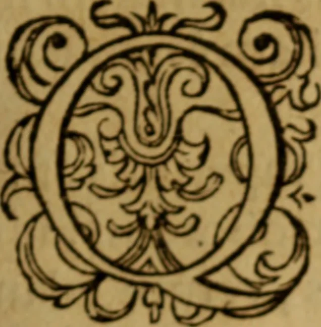 An illustration from Apologia pro ivramento fidelitatis, primùm quidem anonymoz:, 1609, leaf 165