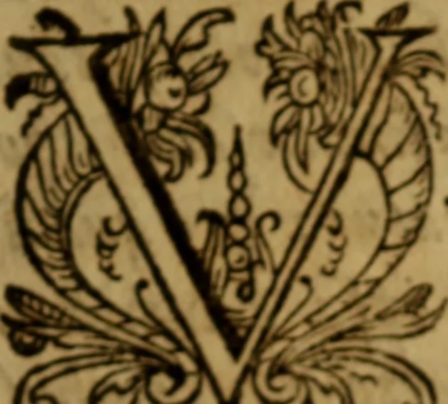 An illustration from Apologia pro ivramento fidelitatis, primùm quidem anonymoz:, 1609, leaf 167