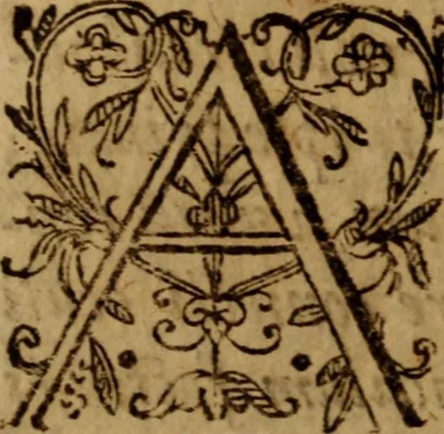 An illustration from Apologia pro ivramento fidelitatis, primùm quidem anonymoz:, 1609, leaf 174
