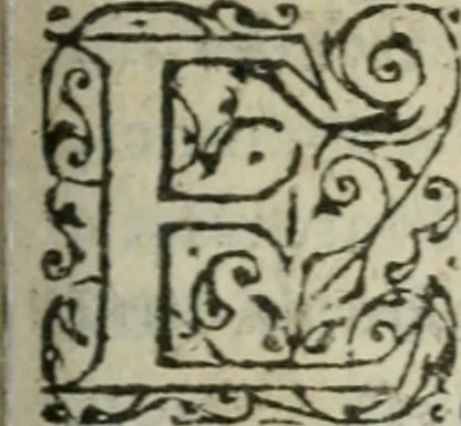 An illustration from Apologie catholique contre les libelles declarations, aduis, et consultations faictes, escrites, & publiees par les liguez perturbateurs de repos du Royaume de France, qui se sont esleuez depuis le decés de feu Monseigneur, frere vnique du Roy, 1585, leaf 212