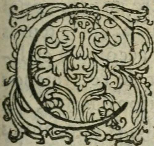An illustration from Apologie catholique contre les libelles declarations, aduis, et consultations faictes, escrites, & publiees par les liguez perturbateurs de repos du Royaume de France, qui se sont esleuez depuis le decés de feu Monseigneur, frere vnique du Roy, 1585, leaf 50